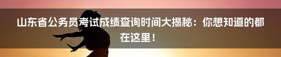 山东省公务员考试成绩查询时间大揭秘：你想知道的都在这里！