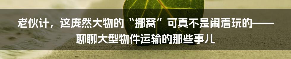 老伙计,这庞然大物的“挪窝”可真不是闹着玩的——聊聊大型物件运输的那些事儿