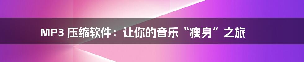 MP3 压缩软件：让你的音乐“瘦身”之旅