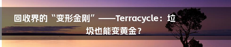 回收界的“变形金刚”——Terracycle：垃圾也能变黄金？
