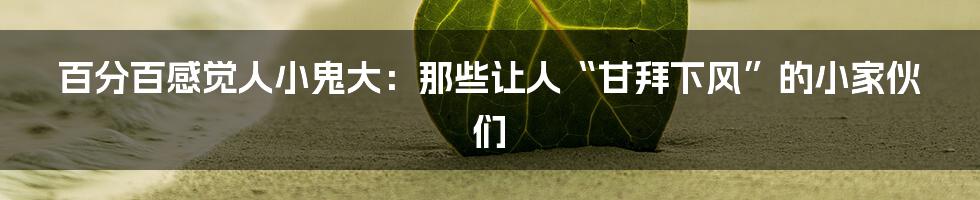百分百感觉人小鬼大：那些让人“甘拜下风”的小家伙们