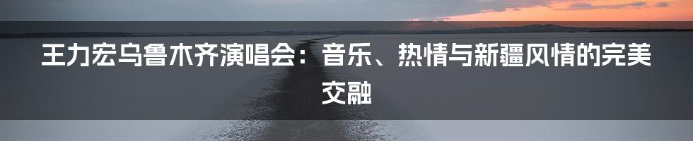 王力宏乌鲁木齐演唱会:音乐、热情与新疆风情的完美交融