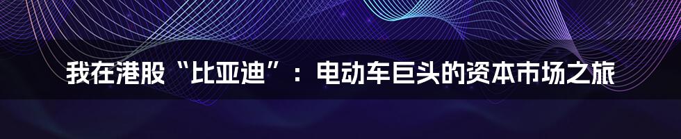 我在港股“比亚迪”：电动车巨头的资本市场之旅