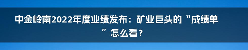 中金岭南2022年度业绩发布:矿业巨头的“成绩单”怎么看?