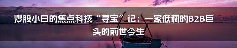 炒股小白的焦点科技“寻宝”记:一家低调的B2B巨头的前世今生