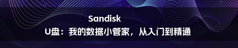 Sandisk U盘：我的数据小管家，从入门到精通