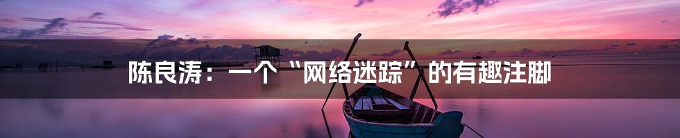 陈良涛：一个“网络迷踪”的有趣注脚