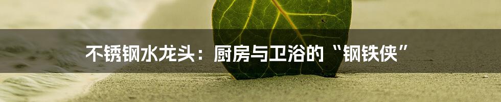不锈钢水龙头：厨房与卫浴的“钢铁侠”