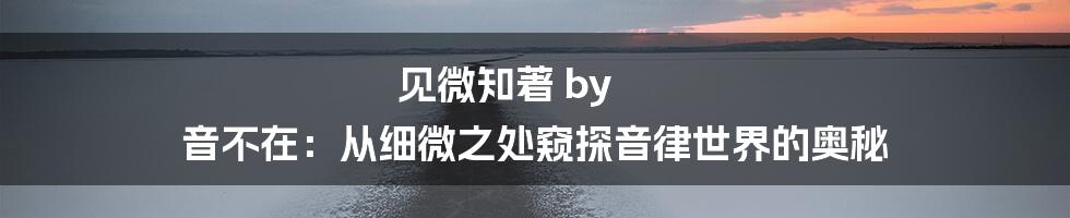 见微知著 by 音不在:从细微之处窥探音律世界的奥秘