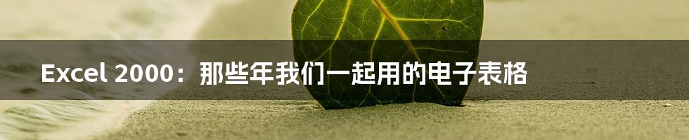 Excel 2000：那些年我们一起用的电子表格