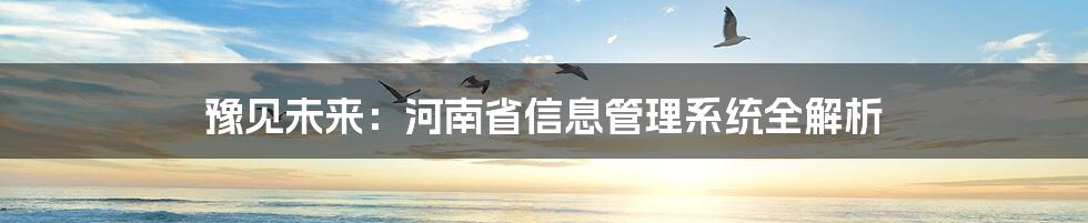 豫见未来:河南省信息管理系统全解析