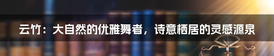 云竹：大自然的优雅舞者，诗意栖居的灵感源泉