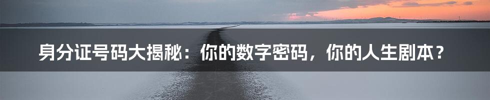 身分证号码大揭秘：你的数字密码，你的人生剧本？