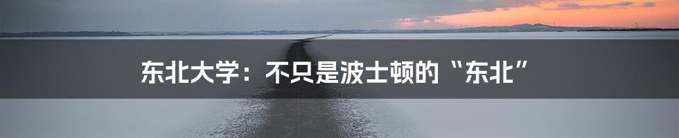 东北大学：不只是波士顿的“东北”