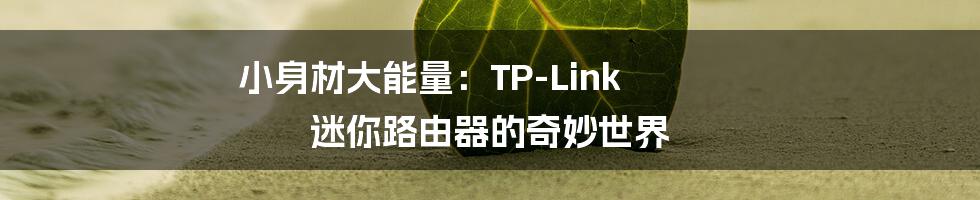 小身材大能量:TP-Link 迷你路由器的奇妙世界