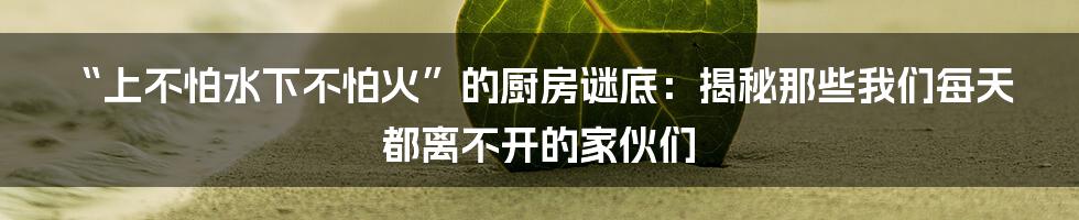 “上不怕水下不怕火”的厨房谜底：揭秘那些我们每天都离不开的家伙们