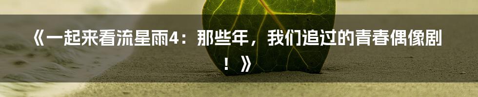 《一起来看流星雨4:那些年,我们追过的青春偶像剧!》