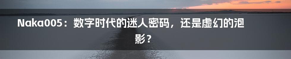 Naka005：数字时代的迷人密码，还是虚幻的泡影？