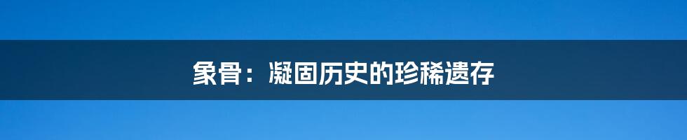 象骨：凝固历史的珍稀遗存
