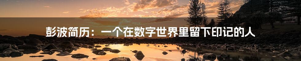 彭波简历：一个在数字世界里留下印记的人