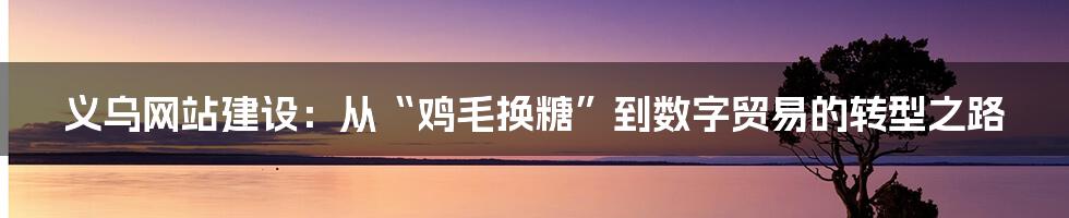 义乌网站建设：从“鸡毛换糖”到数字贸易的转型之路