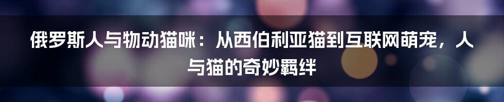 俄罗斯人与物动猫咪：从西伯利亚猫到互联网萌宠，人与猫的奇妙羁绊
