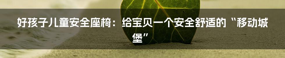 好孩子儿童安全座椅：给宝贝一个安全舒适的“移动城堡”