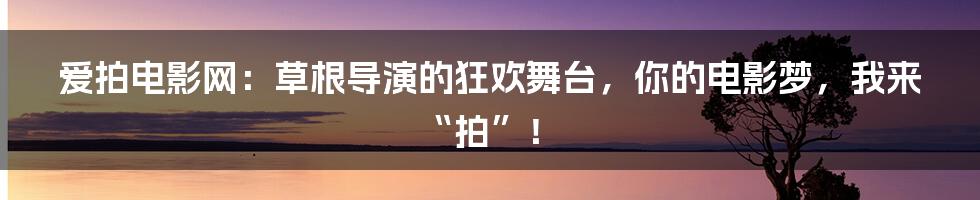 爱拍电影网:草根导演的狂欢舞台,你的电影梦,我来“拍”!