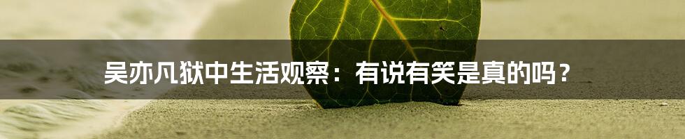 吴亦凡狱中生活观察：有说有笑是真的吗？