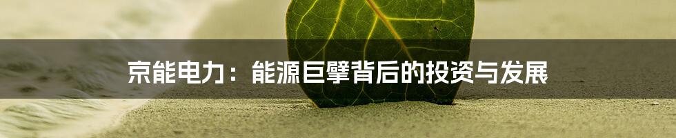 京能电力：能源巨擘背后的投资与发展