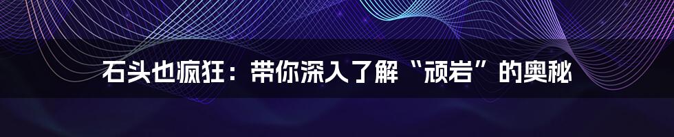 石头也疯狂：带你深入了解“顽岩”的奥秘
