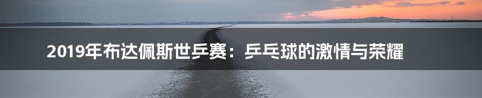 2019年布达佩斯世乒赛：乒乓球的激情与荣耀