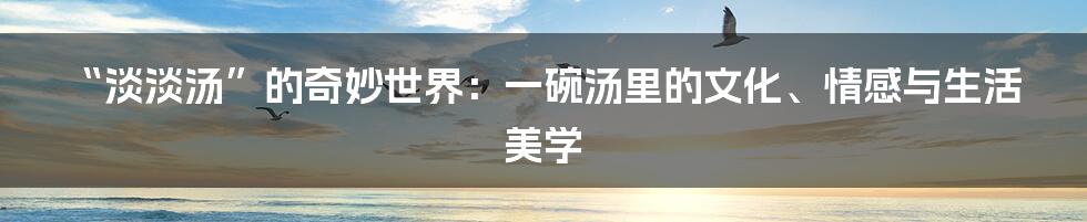 “淡淡汤”的奇妙世界：一碗汤里的文化、情感与生活美学