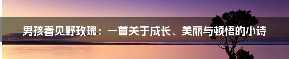 男孩看见野玫瑰：一首关于成长、美丽与顿悟的小诗