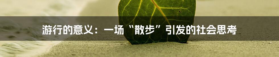游行的意义：一场“散步”引发的社会思考