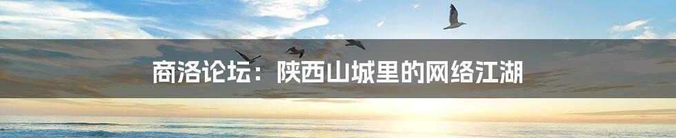 商洛论坛：陕西山城里的网络江湖
