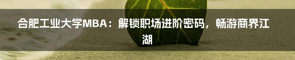合肥工业大学MBA：解锁职场进阶密码，畅游商界江湖