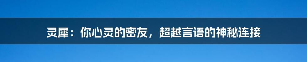 灵犀：你心灵的密友，超越言语的神秘连接