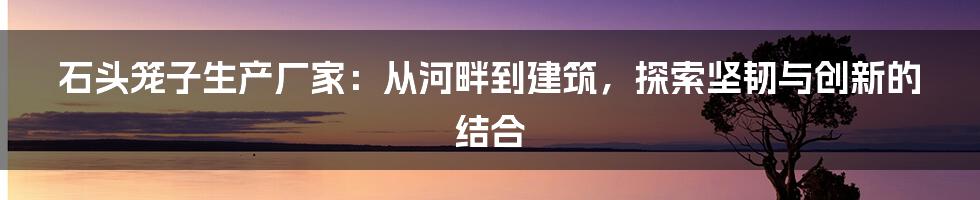 石头笼子生产厂家:从河畔到建筑,探索坚韧与创新的结合