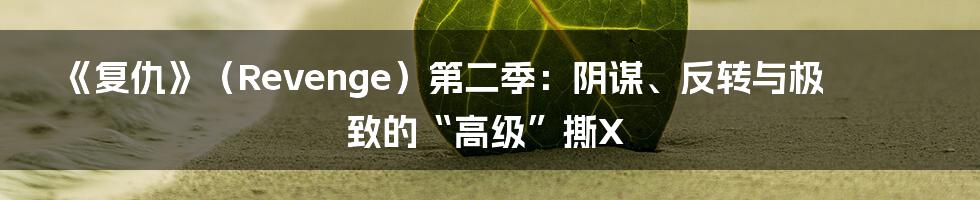 《复仇》（Revenge）第二季：阴谋、反转与极致的“高级”撕X