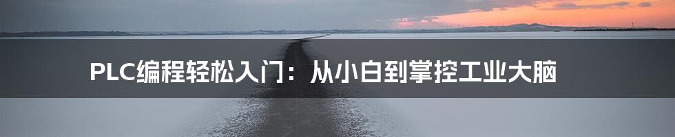 PLC编程轻松入门：从小白到掌控工业大脑