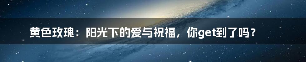 黄色玫瑰:阳光下的爱与祝福,你get到了吗?