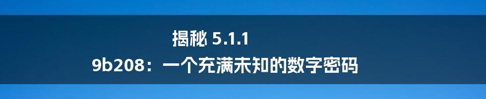 揭秘 5.1.1 9b208:一个充满未知的数字密码