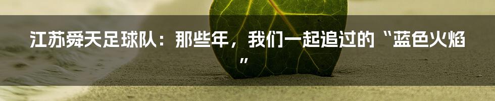 江苏舜天足球队:那些年,我们一起追过的“蓝色火焰”
