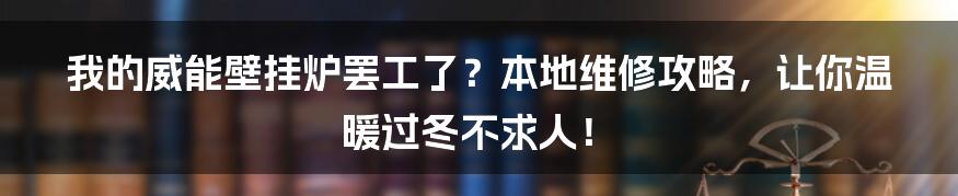 我的威能壁挂炉罢工了?本地维修攻略,让你温暖过冬不求人!