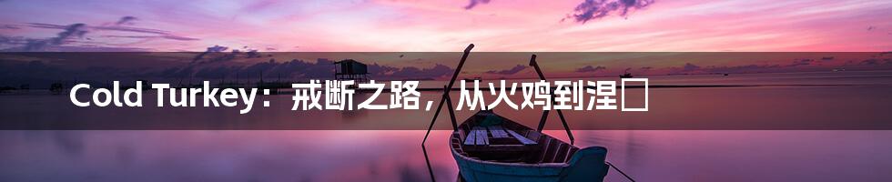Cold Turkey：戒断之路，从火鸡到涅槃