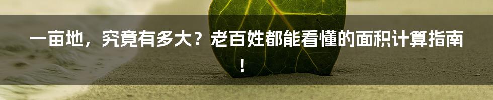 一亩地,究竟有多大?老百姓都能看懂的面积计算指南!