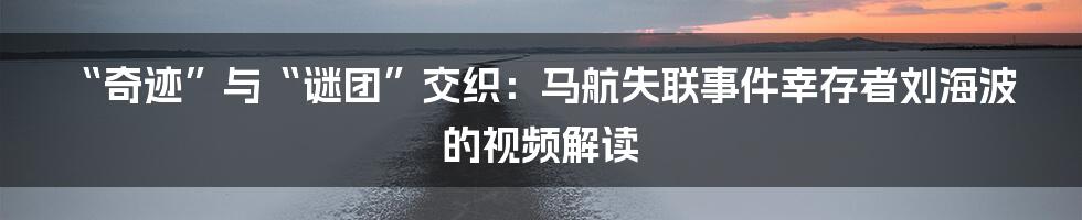 “奇迹”与“谜团”交织:马航失联事件幸存者刘海波的视频解读