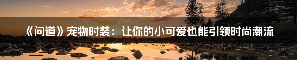 《问道》宠物时装:让你的小可爱也能引领时尚潮流