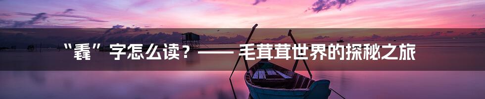 “毳”字怎么读?—— 毛茸茸世界的探秘之旅